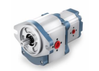 832729 Насос шестеренный тандемный 20см3+10см3